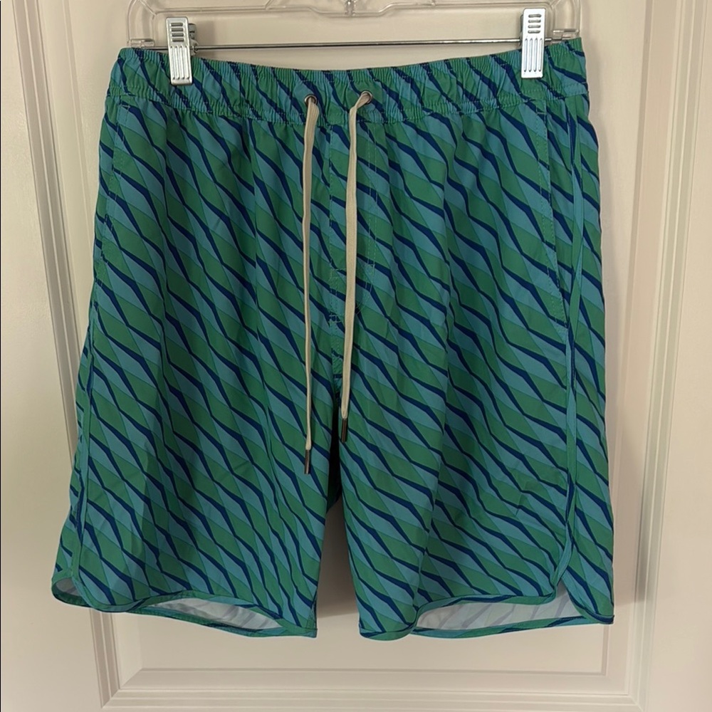 Fair harbor Green and Blue Men's Swim Shorts